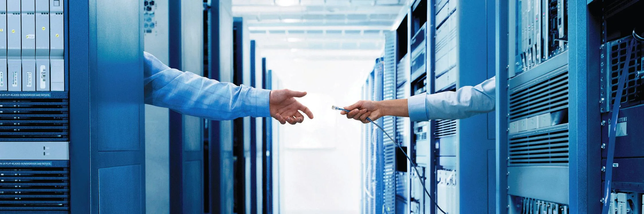 WEB HOSTING