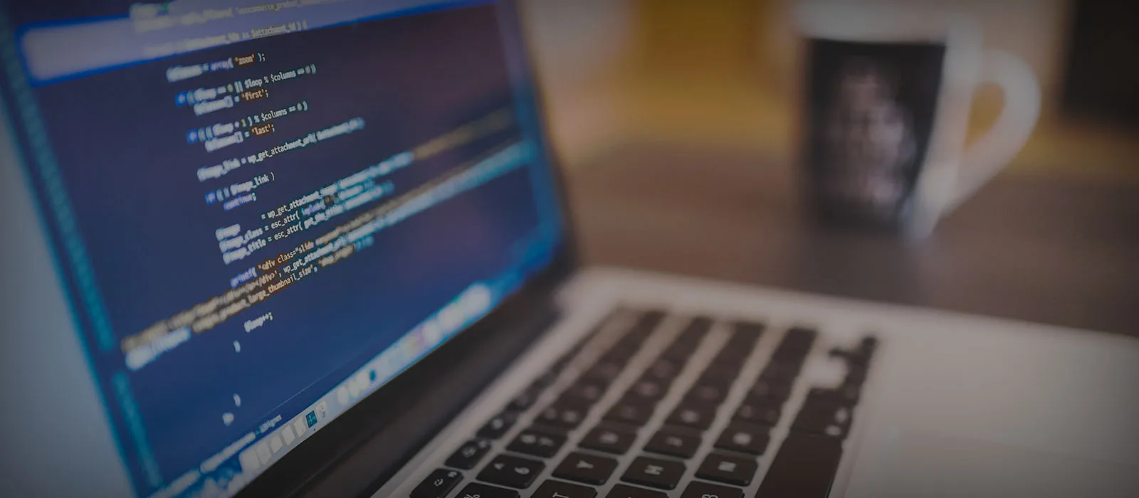WEB YAZILIM