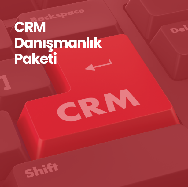 CRM Danışmanlık Paketi / Ay